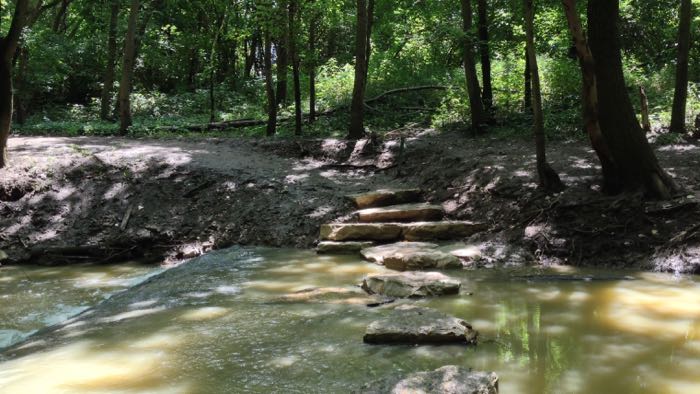 A series of stepping stones in a river on the Overlook Trail at Scioto Grover Metro Park.